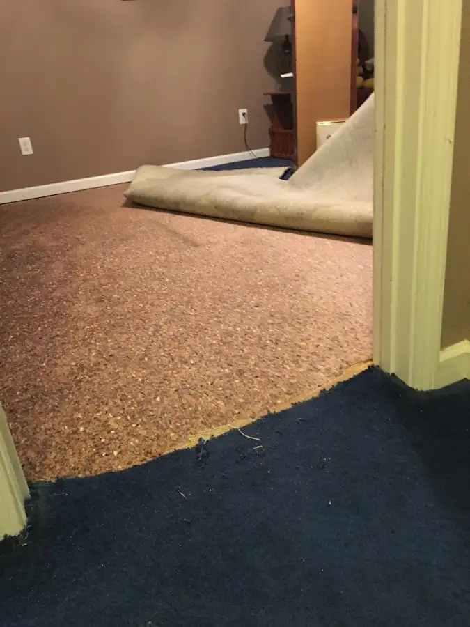 Carpet pad removal revealing water damage during Drying & Dehumidification in East Chicago