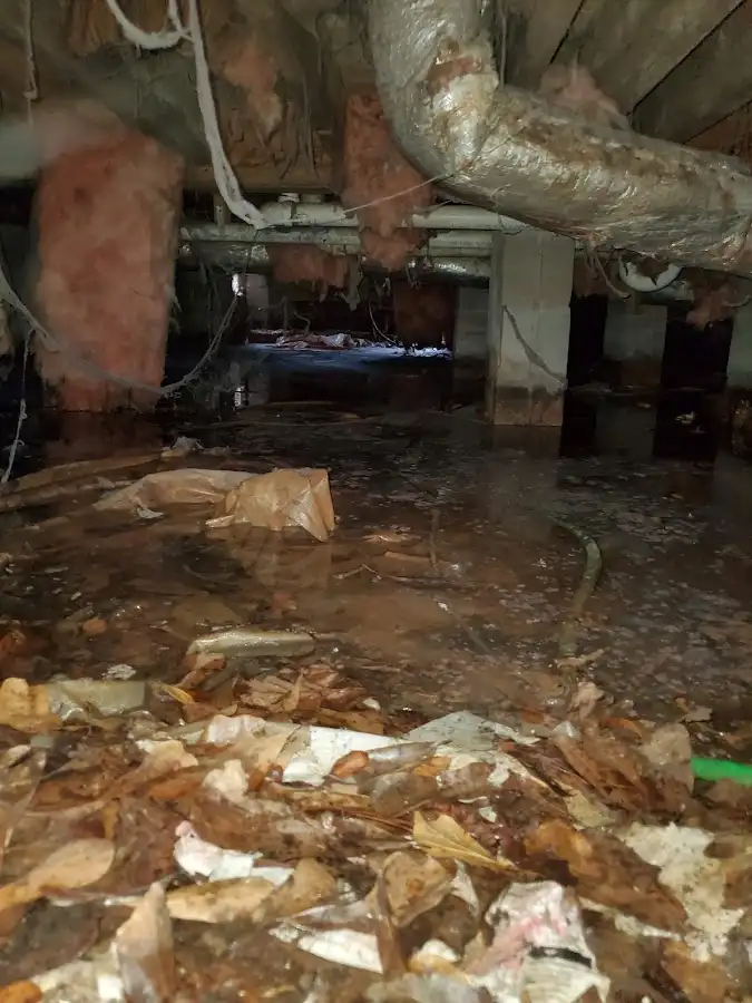 Crawl space flood assessment for Leak Detection & Repair in East Chicago
