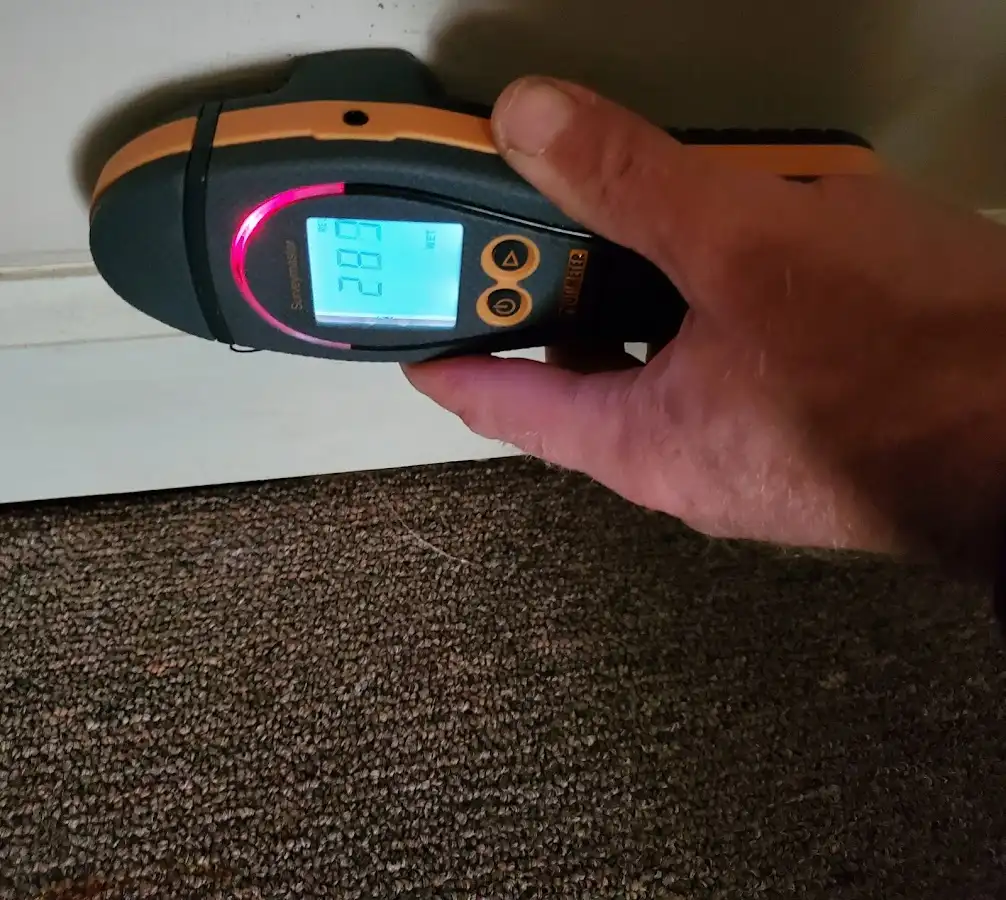 Moisture detection at baseboard during Sewage Cleanup & Sanitation in East Chicago